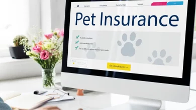 How-Much-Does-Pet-Insurance-Cost-in-2024_newpetsowners-.webp